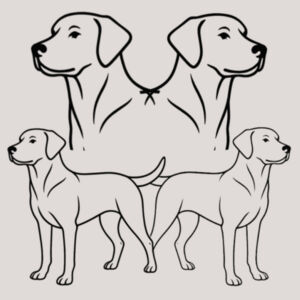 Symmetry in Motion - Thread Project Youth Epic Tee Design