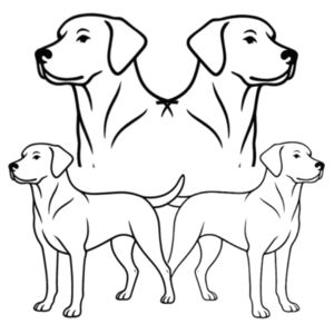 Symmetry in Motion - Thread Project Womens Eden V-Neck Tee Design