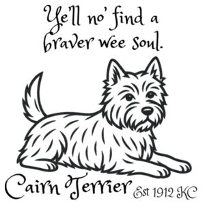 Braver Wee Soul – Cairn Terrier - Frosted Glass Beer Mug Design