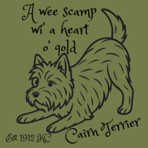 A Heart o’ Gold – Cairn Terrier - AS Colour Kids Supply Hoodie Design