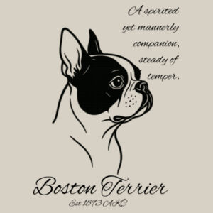 A Spirited Companion – Boston Terrier - AS Colour Kids Supply Hoodie Design