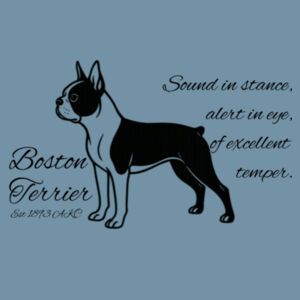 Sound in Stance – Boston Terrier - AS Colour Denim Carrie Tote Design