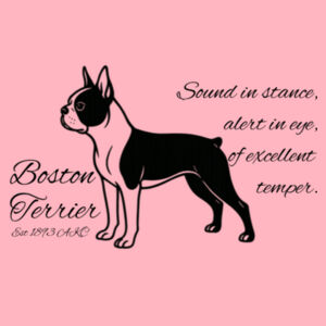 Sound in Stance – Boston Terrier - AS Colour Kids Supply Hoodie Design