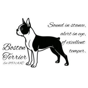 Sound in Stance – Boston Terrier - Stainless Bottle Design