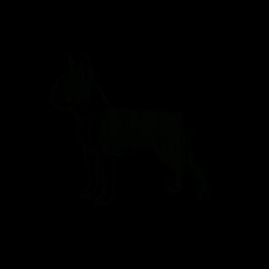 Sound in Stance – Boston Terrier - Inner Coloured Mug Design