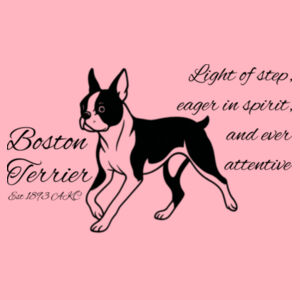 Light of Step – Boston Terrier - AS Colour Kids Supply Hoodie Design