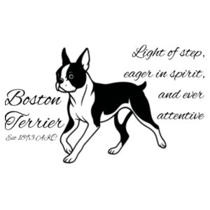 Light of Step – Boston Terrier - Stainless Bottle Design