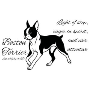 Light of Step – Boston Terrier - Mug Design