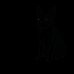 A Thoughtful Little Dog – Boston Terrier - Inner Coloured Mug Design