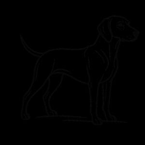 The Grey Ghost Waits – Weimaraner - Inner Coloured Mug Design