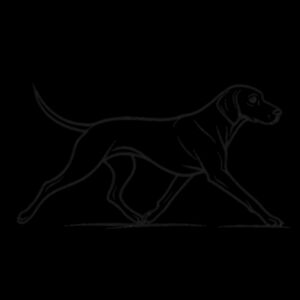 Silent Feet, Sharp Mind – Weimaraner - Inner Coloured Mug Design