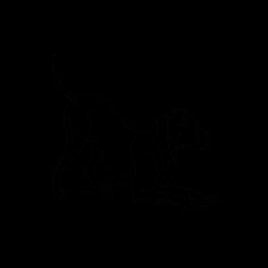 Playful Grey Ghost – Weimaraner - Inner Coloured Mug Design