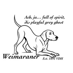 Playful Grey Ghost – Weimaraner - Can Cooler Design