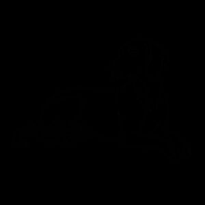 Calm Heart, Noble Spirit – Weimaraner - Inner Coloured Mug Design