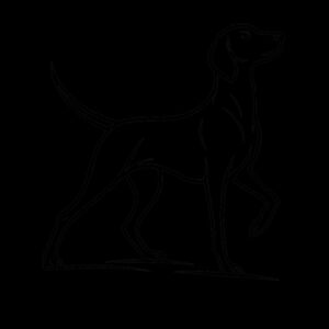 Knows His Worth – Weimaraner - Inner Coloured Mug Design