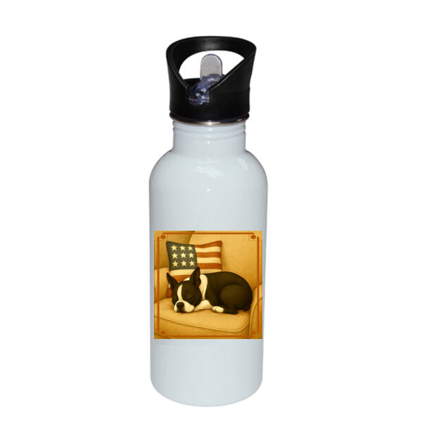 Stars & Slumber  - Stainless Bottle with Straw Top Thumbnail