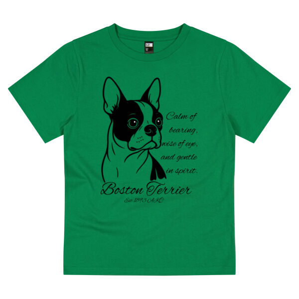 Calm of Bearing – Boston Terrier - Thread Project Youth Epic Tee Thumbnail