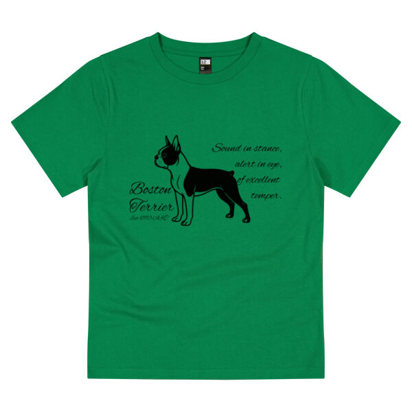 Sound in Stance – Boston Terrier - Thread Project Youth Epic Tee Thumbnail