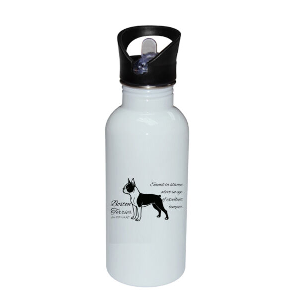 Sound in Stance – Boston Terrier - Stainless Bottle with Straw Top Thumbnail