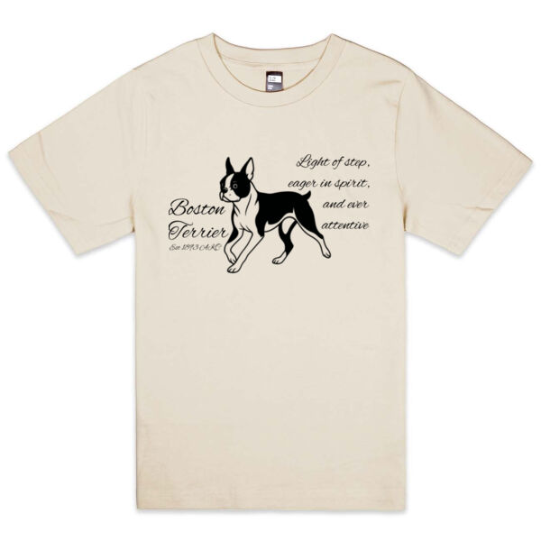 Light of Step – Boston Terrier - Thread Project Youth Epic Tee Thumbnail