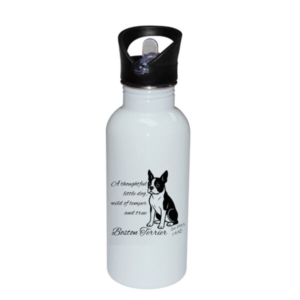 A Thoughtful Little Dog – Boston Terrier - Stainless Bottle with Straw Top Thumbnail