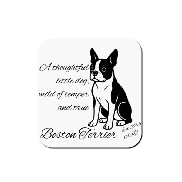 A Thoughtful Little Dog – Boston Terrier - Coaster - Square Hardboard Thumbnail