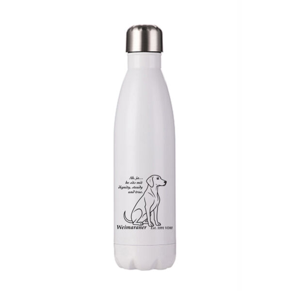 Dignity in Stillness – Weimaraner - Stainless Bottle Thumbnail