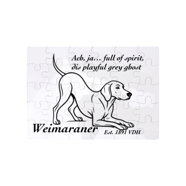 Playful Grey Ghost – Weimaraner - Puzzle  Thumbnail
